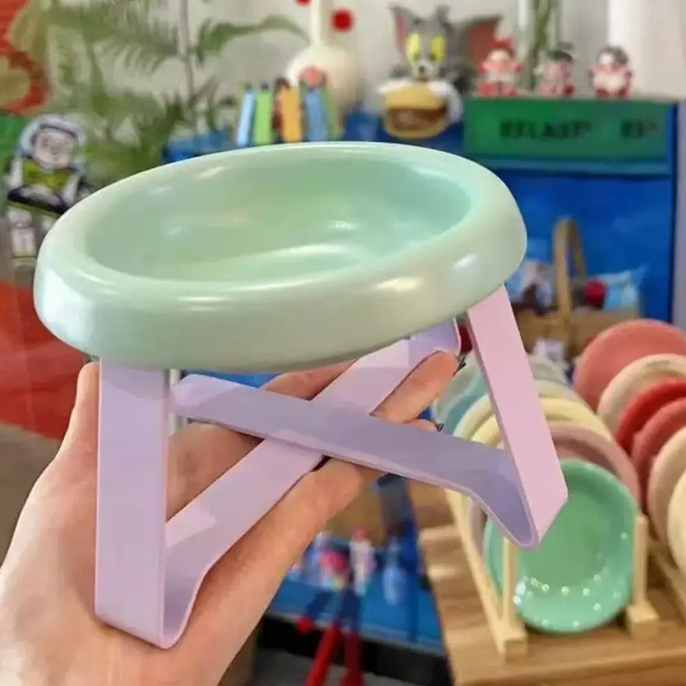 Elevated Cat Feeding Bowl 2