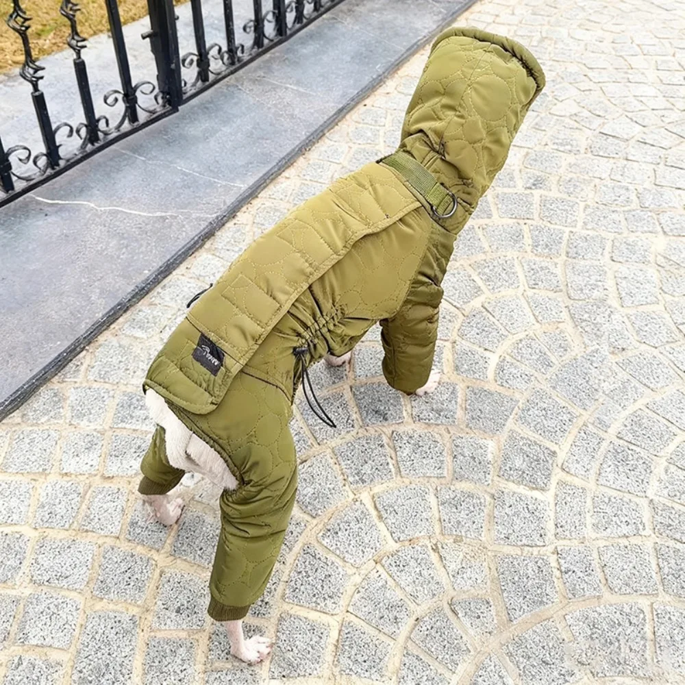 휘핏 겨울옷 도베르만 두꺼운 대형견 옷 따뜻한 달마시안 강아지 옷 방풍 애완동물 용품