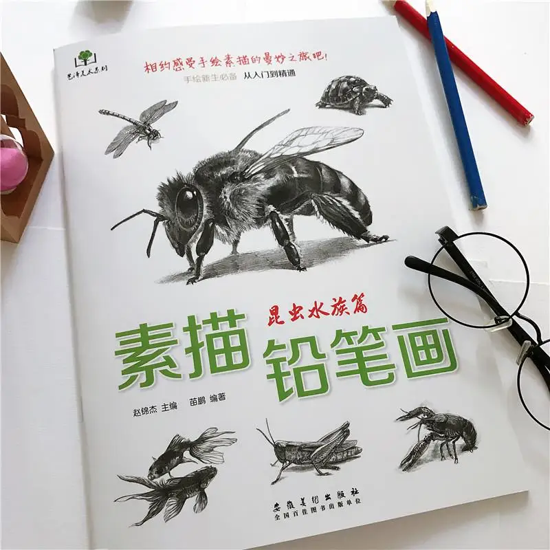 

Pencil Sketch Basic Coure Books Zero-Based Tutorial From Beginner To Proficient Sketch Drawing Books Hand-Painted Course Book