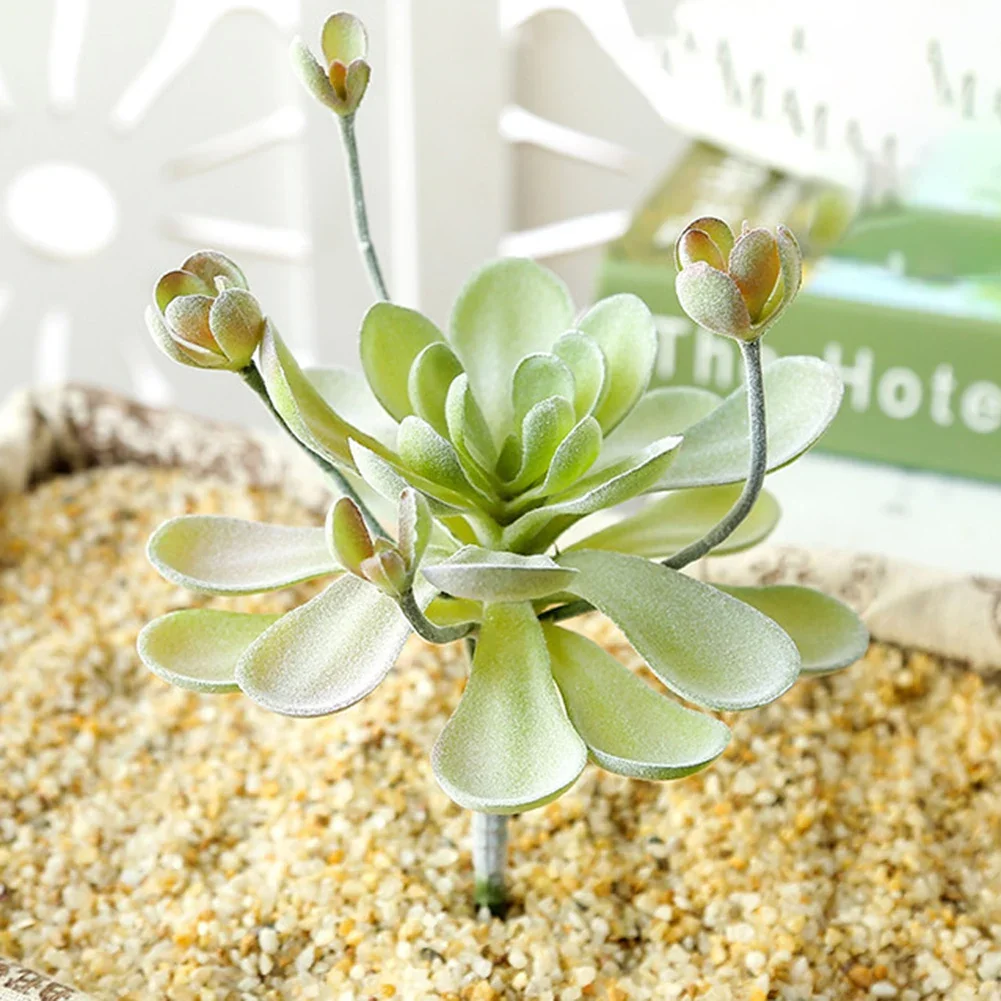 Mini Künstliche Sukkulenten Strömten Simulation Pflanze Gefälschte Kaktus Lotus Landschaft Dekorative Ornamente Home Garten Decor – Detail 22