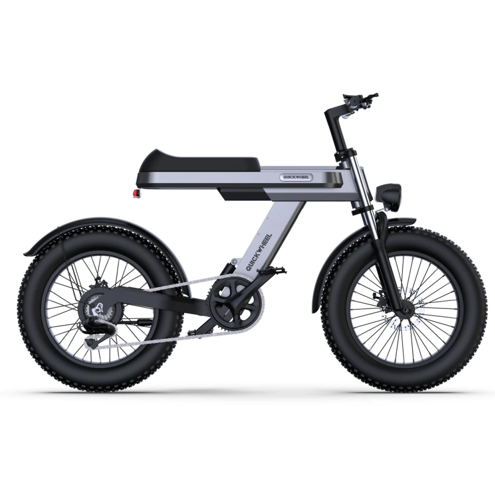 

Electric Motorcycle for Adults 1000W Electric Bike 48V 15Ah