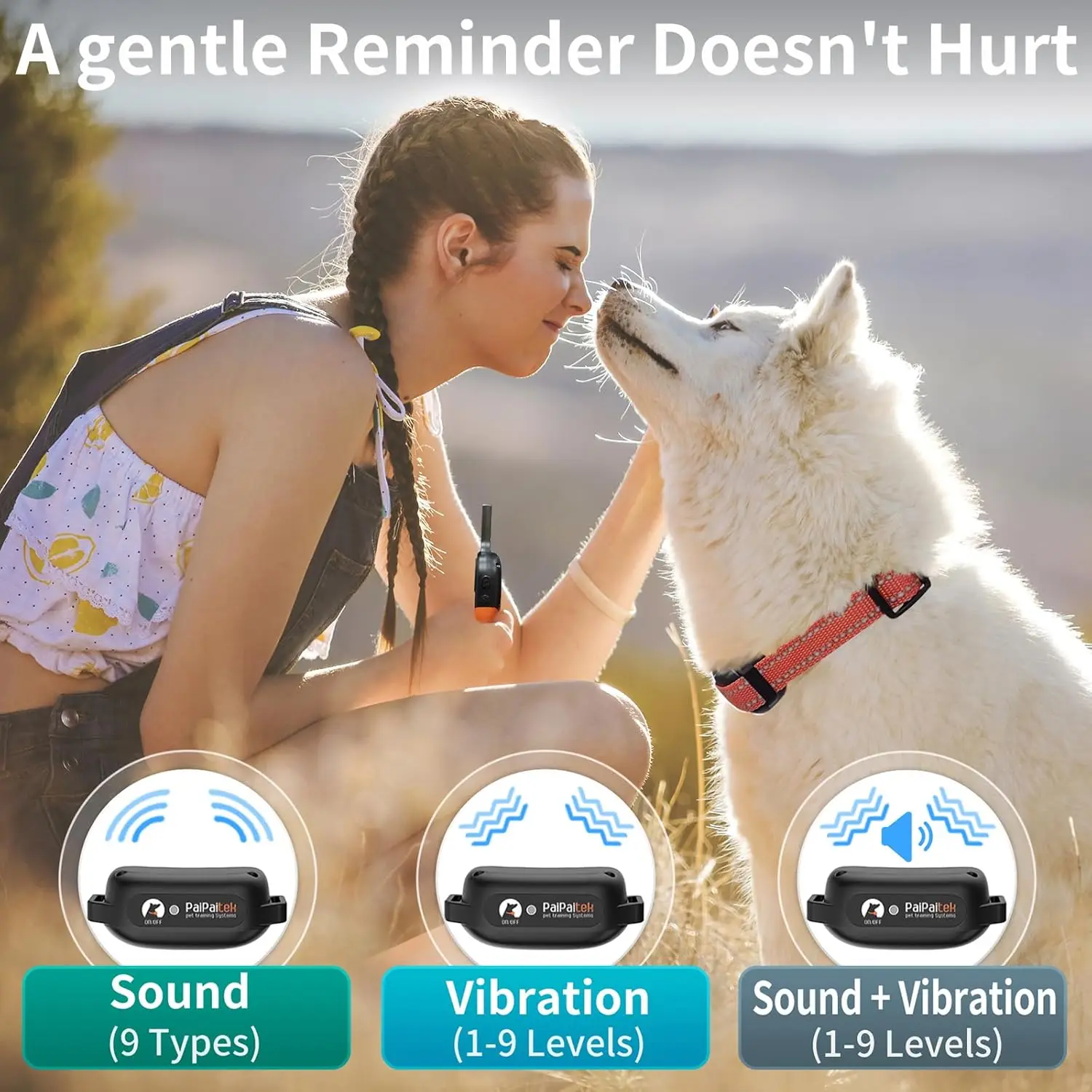 No-Shock Dog Training Collar 4