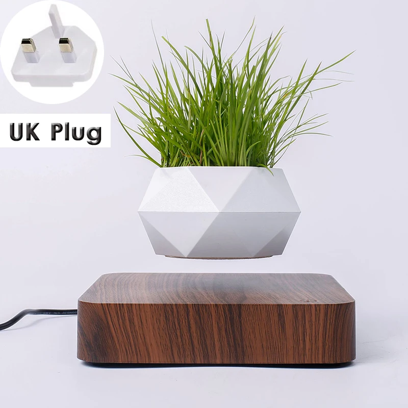 UK Plug