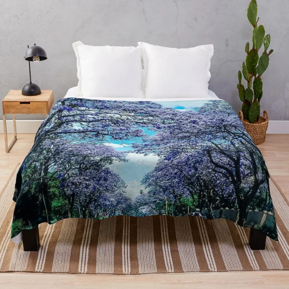 Alberi Di Jacaranda A Pretoria Coperta Vintage Per Coperte Decorative Per Divani