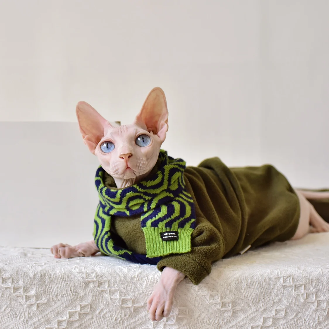  Sphynx Cat Clothes Winter Velvet Warm Soft Winter Jacket  Thickened Hairless Cat Coat for Sphynx, Cornish Rex, Devon Rex, Peterbald  Cat Clothes (Under Sweater, XL) : Pet Supplies