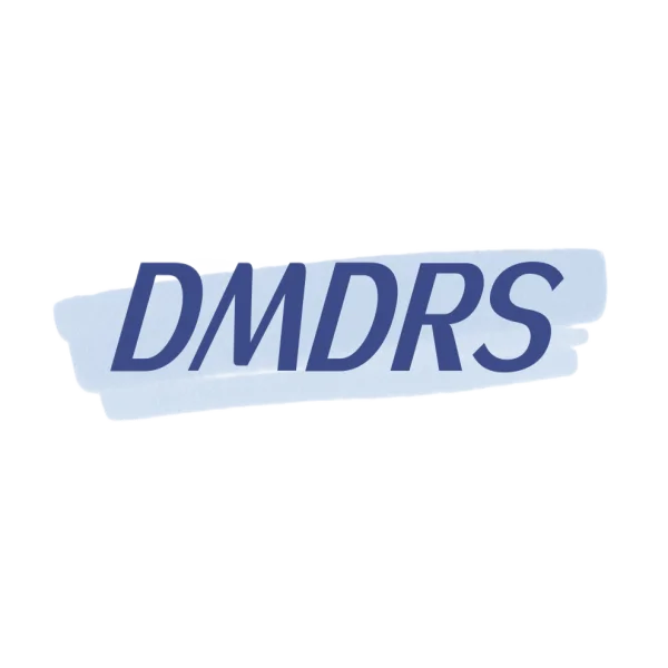 DMDRS Prom Dress Store