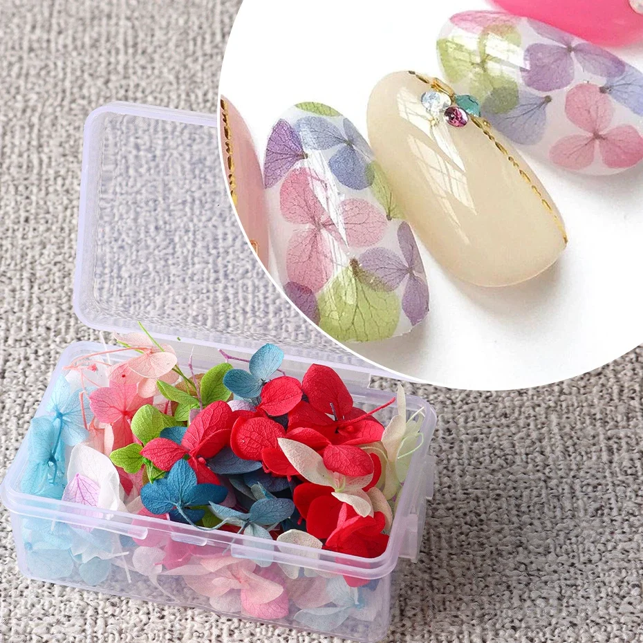 

100PCS/box 10 Color Dried Flowers 3D Applique Natural Floral Beautiful Dry-flowers for manicure DIY Manicure Accessories Tool