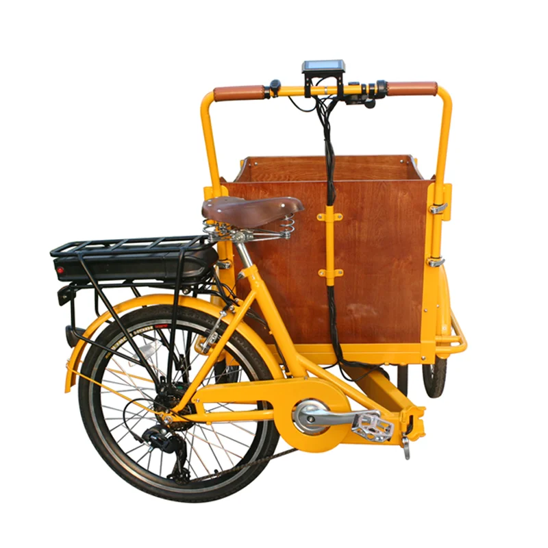 Bicicletta Pieghevole A Pedale Per Bicicletta Elettrica Per Adulti A Buon Mercato Per Bambini Trike Cargo Bike Carrelli E Carrelli Della Spesa