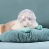 Transparent Breathable Cat Muzzle Anti-Bite Anti-Licking Cat Mask Cover Helmet Anti Scratch Cat Grooming Accessories 2