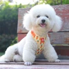 Comfortable Vest Style Dog Harness for Small Breeds - No-Pull Breathable Pet Harness with Leash Adjustable for Bichon Dogs 4