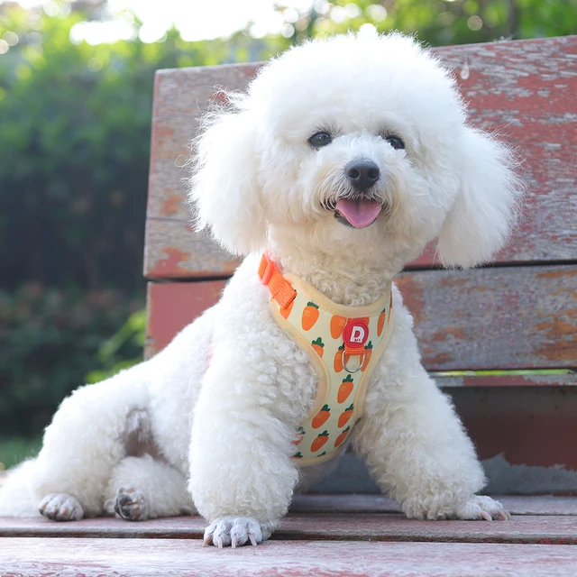 Comfortable Vest Style Dog Harness for Small Breeds - No-Pull Breathable Pet Harness with Leash Adjustable for Bichon Dogs 4