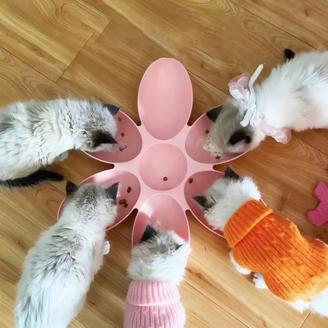 6-Grid Petal Cat Bowl - Anti-Snatching for Multi-Cats, Special for Kittens/Nursing Cats/Strays, Durable Feline Feeding Supplies 6-Grid Petal Cat Bowl - Anti-Snatching for Multi-Cats, Special for Kittens/Nursing Cats/Strays, Durable Feline Feeding Supplies