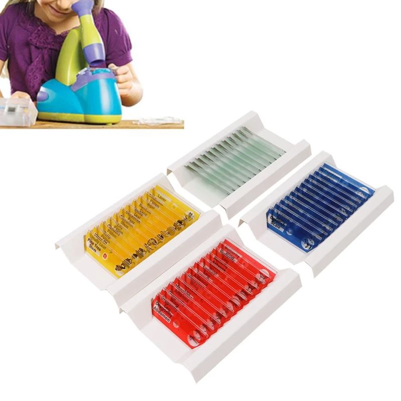 Microscope slides Microbiological Bacterial Specimens Biology Microscope Slices Lab Specimen 48pcs