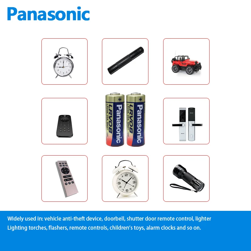 Panasonic LRV08 : Panasonic: : Electrónica