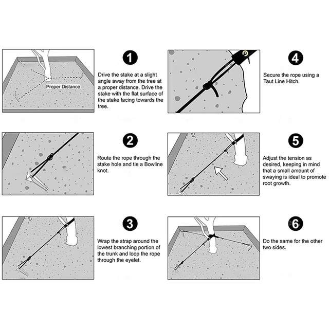 Fa Tétkészlet Készlet Tartó Heveder Téttel Fiatal Fák Horgony És - Image 5