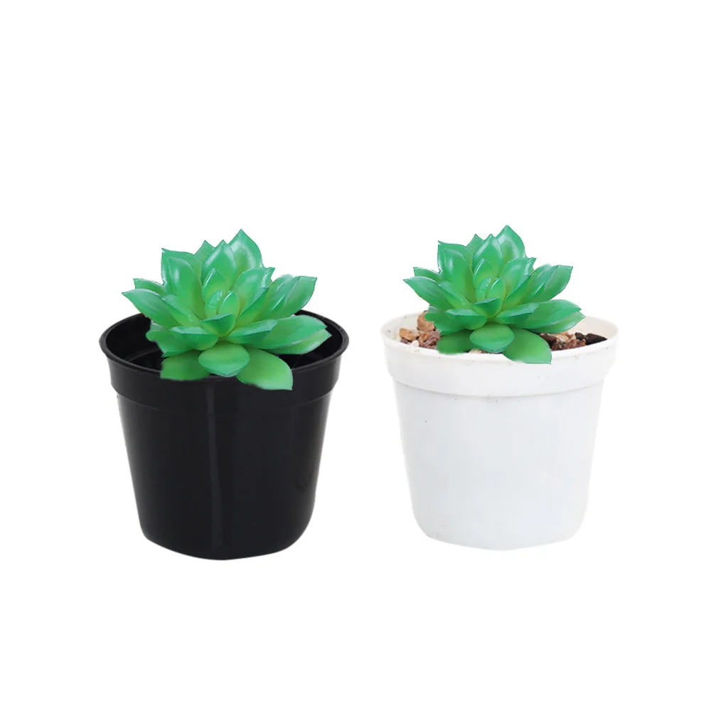 Description Picture 5 of item2Colors 10 Pcs Mini Plastic Round Flower Pot Nursery Home Office Decor Green Artificial Refinement Planter Succulent Garden Tool