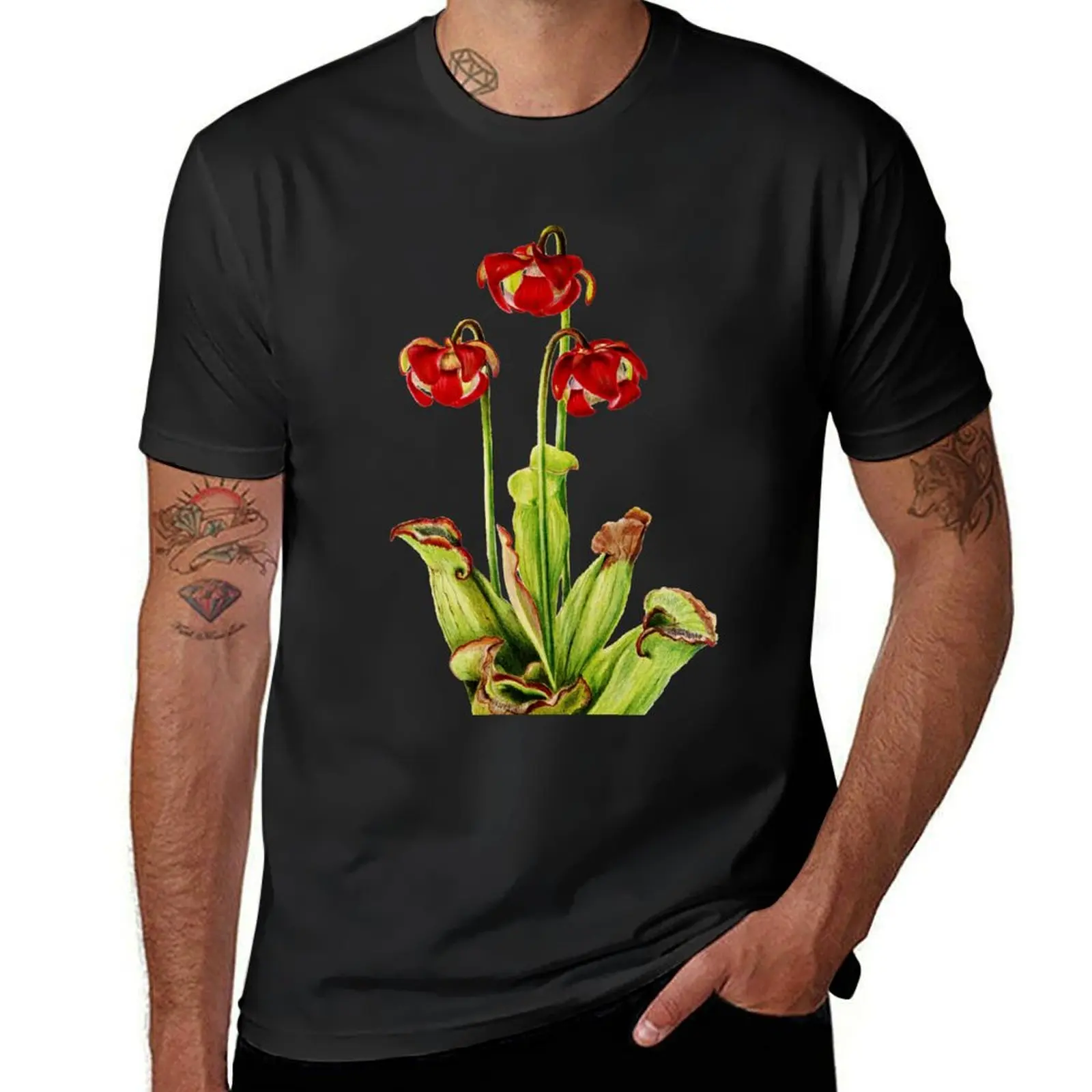 Pitcherplant-sarracenia purpurea-walcott-Camiseta de ilustración botánica, camisetas de color negro liso para hombre