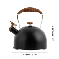 Bouilloire électrique à gaz touristique de 2,5 l avec sifflet, appareil de cuisine en acier inoxydable, théière de Camping, ustensiles de cuisine, ensemble de cuisine 3