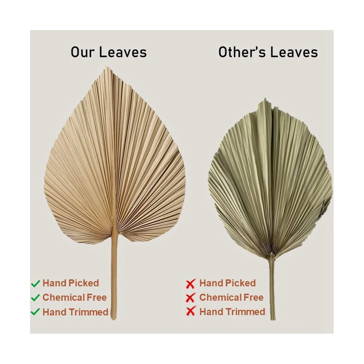 4 Pieces Natural Dried Palm Leaves for Palm Leaf Decor Boho Decor Home Wedding dried palm leaves