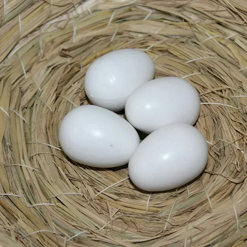 10PCS Imitation Fake Pigeon Eggs Plastic Solid White Pigeon Eggs Bird Training Supplies Children Toys Breeding Supplies - Image 4