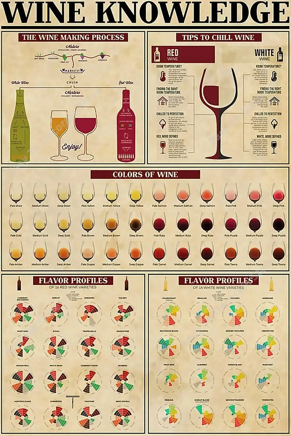 

Wine Knowledge Metal Sign Colors of Wine Infographic Retro Tin Poster Home Kitchen Bar Cafe Club Decoration Plaque