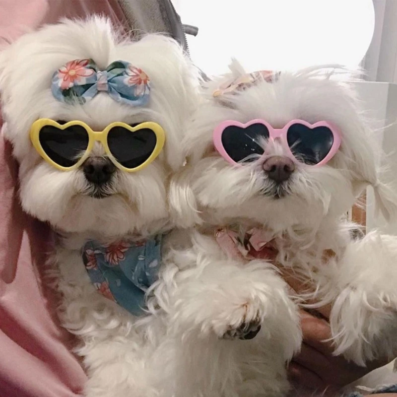 

Dog Sunglasses Pet Products Heart Reflection Eye Wear Glasses for Small Dog Pet Photos Accessories