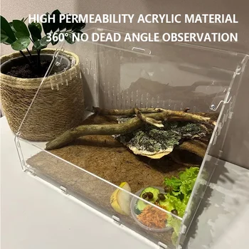 Acrylic Feeding Box for Reptiles 1