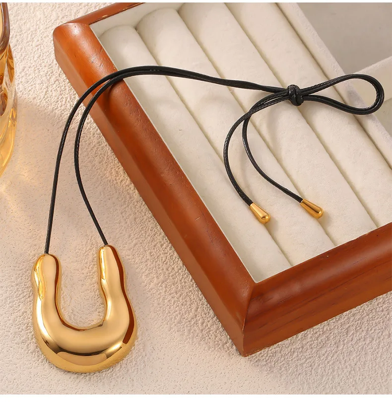 Moderne 316L Edelstahl Vergoldete U-förmige Anhänger-Halskette Damen Mode Schwarzes Geflochtenes Seil Große Lange Halskette Schmuck – Detail 7