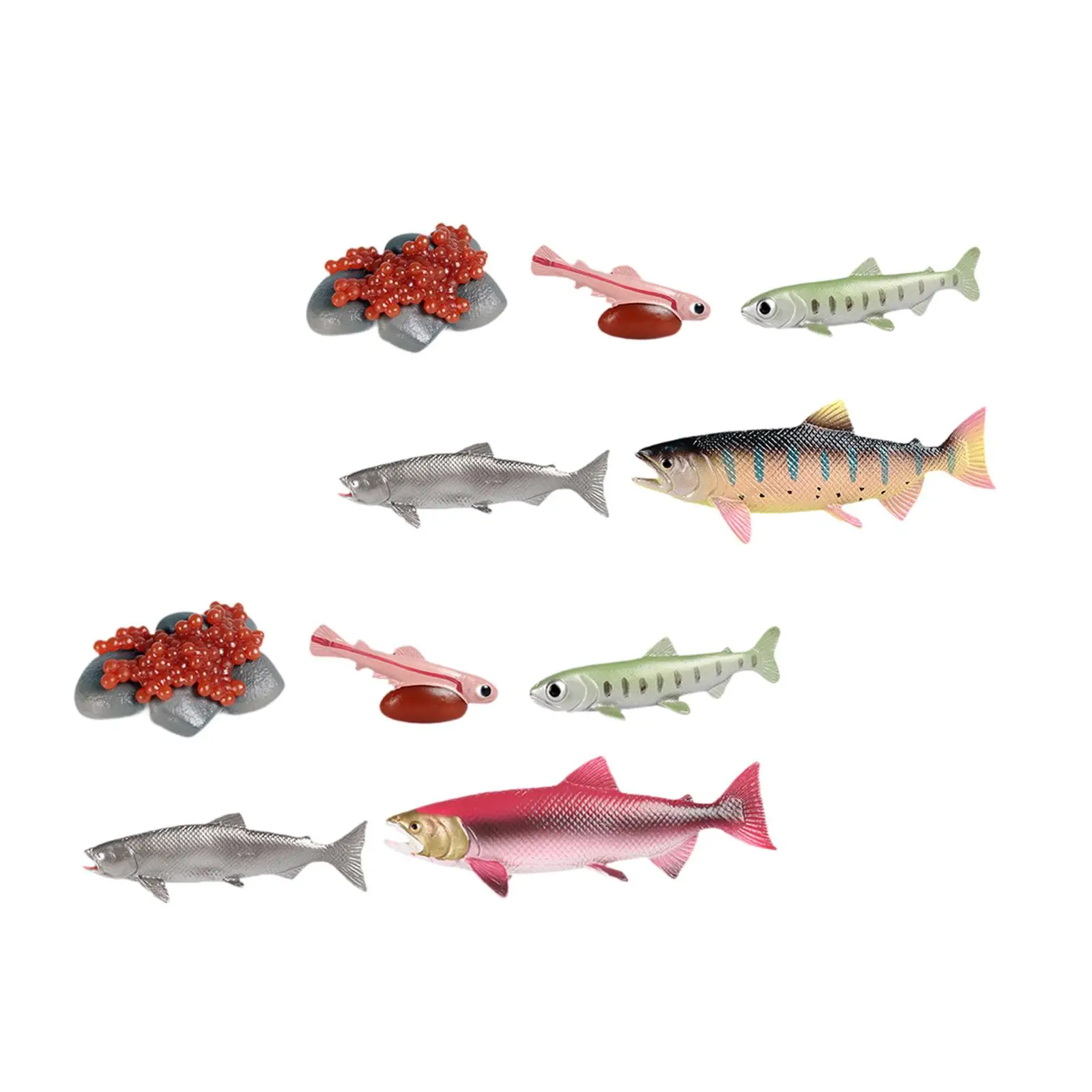 Life Cycle of Salmon Toys Teaching Tools Farm Animals Figurines for Storytelling Presentations Daycare Role Play Birthday Gifts 2