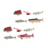 Life Cycle of Salmon Toys Teaching Tools Farm Animals Figurines for Storytelling Presentations Daycare Role Play Birthday Gifts 2