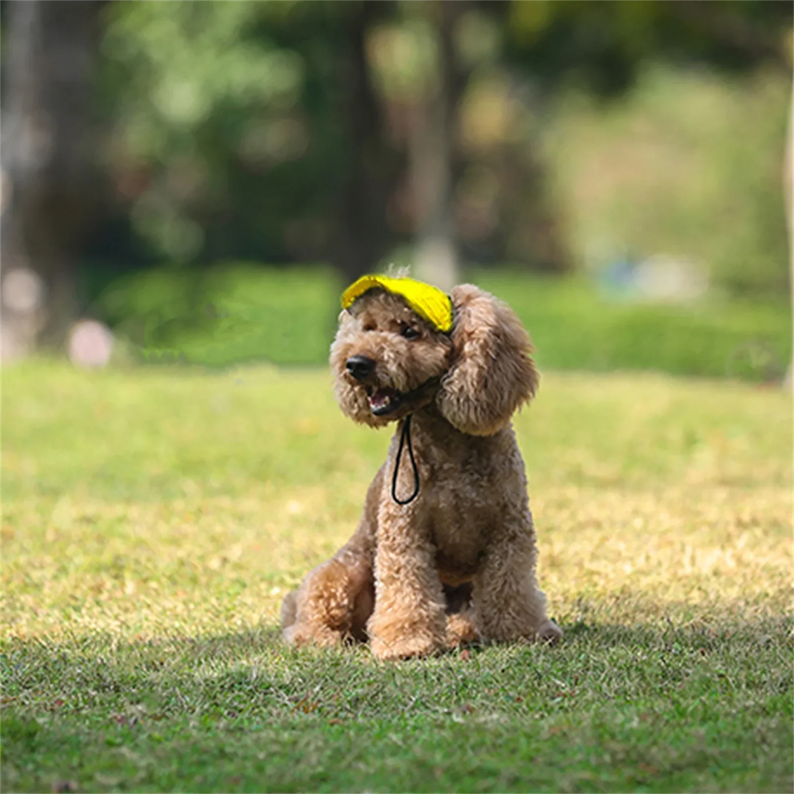 Adjustable Pet Dog Baseball Cap with Ear Holes for Small Medium Dogs Summer Dog Sun Hat Outdoor Hiking Pet Products