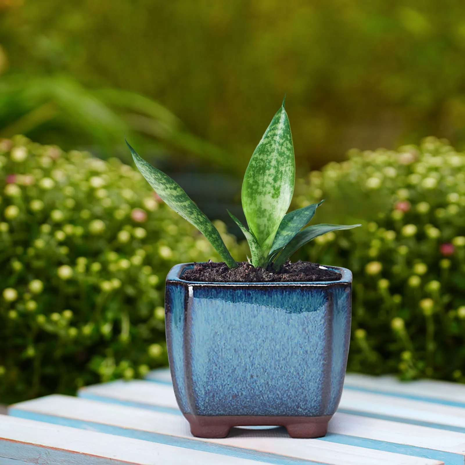 Enhanced Ceramic Succulent Planter with Vent Design