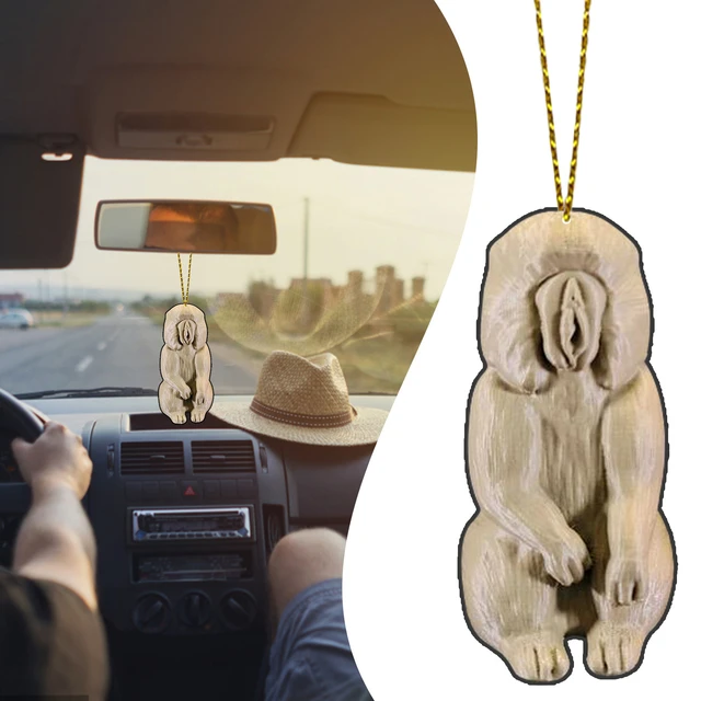 Auto Dekoration Anhänger kreative Auto Interieur Meeres schildkröte  Anhänger zuverlässige Schildkröte Ornament Autozubehör bunte Acryl Auto -  AliExpress