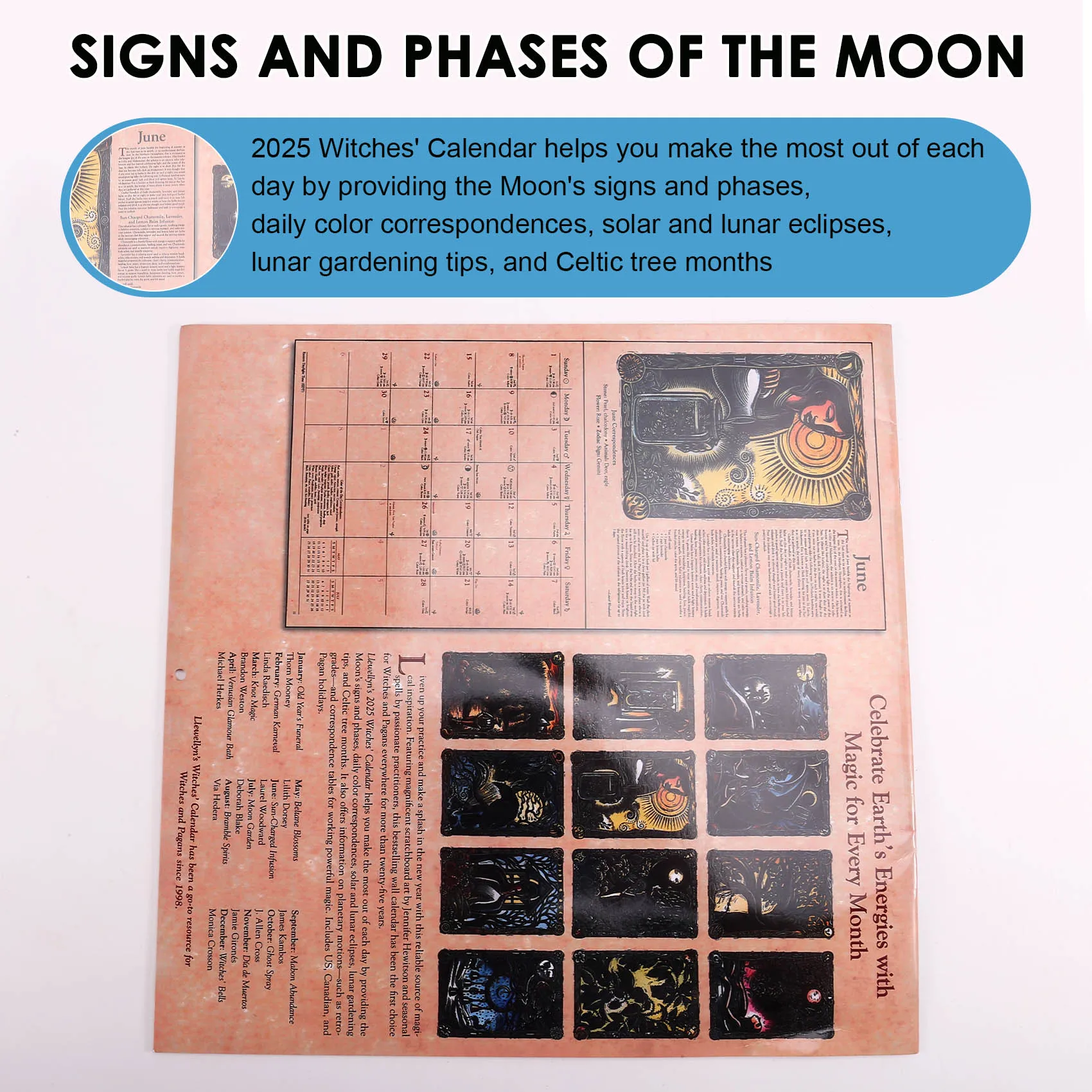 Witches Calendar Articles Decor Home Calenda Witches' Calenda Durables