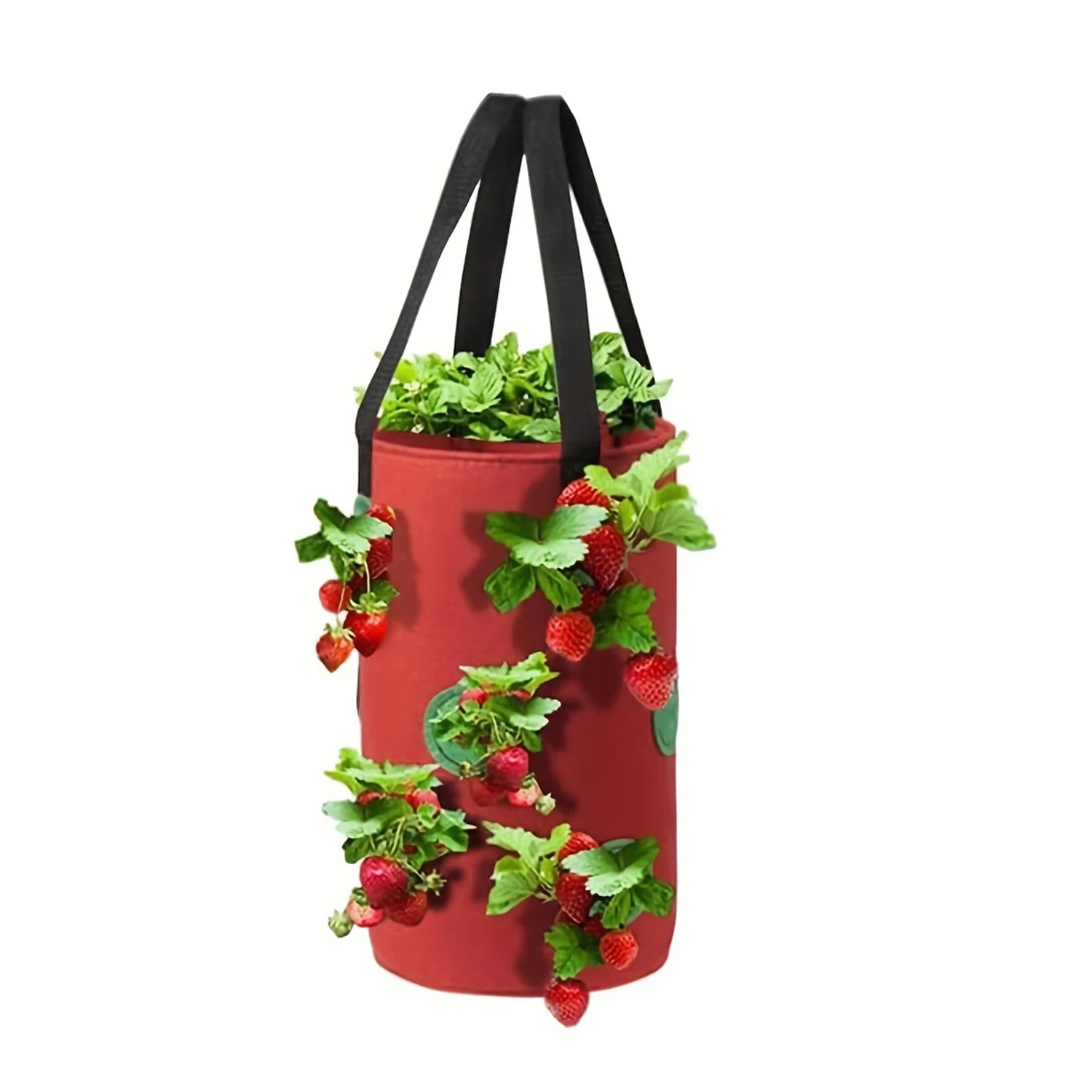 ตัวเลือกสินค้า กระถางแขวนปลูกผักสมุนไพร 12 ช่อง