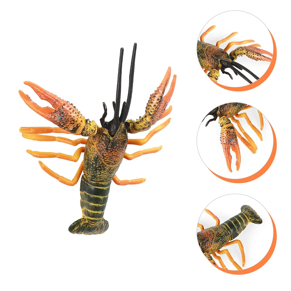 

Vivid Lobster Model Toy Funny Creature Toy Lobster Tabletop Decor for Kids