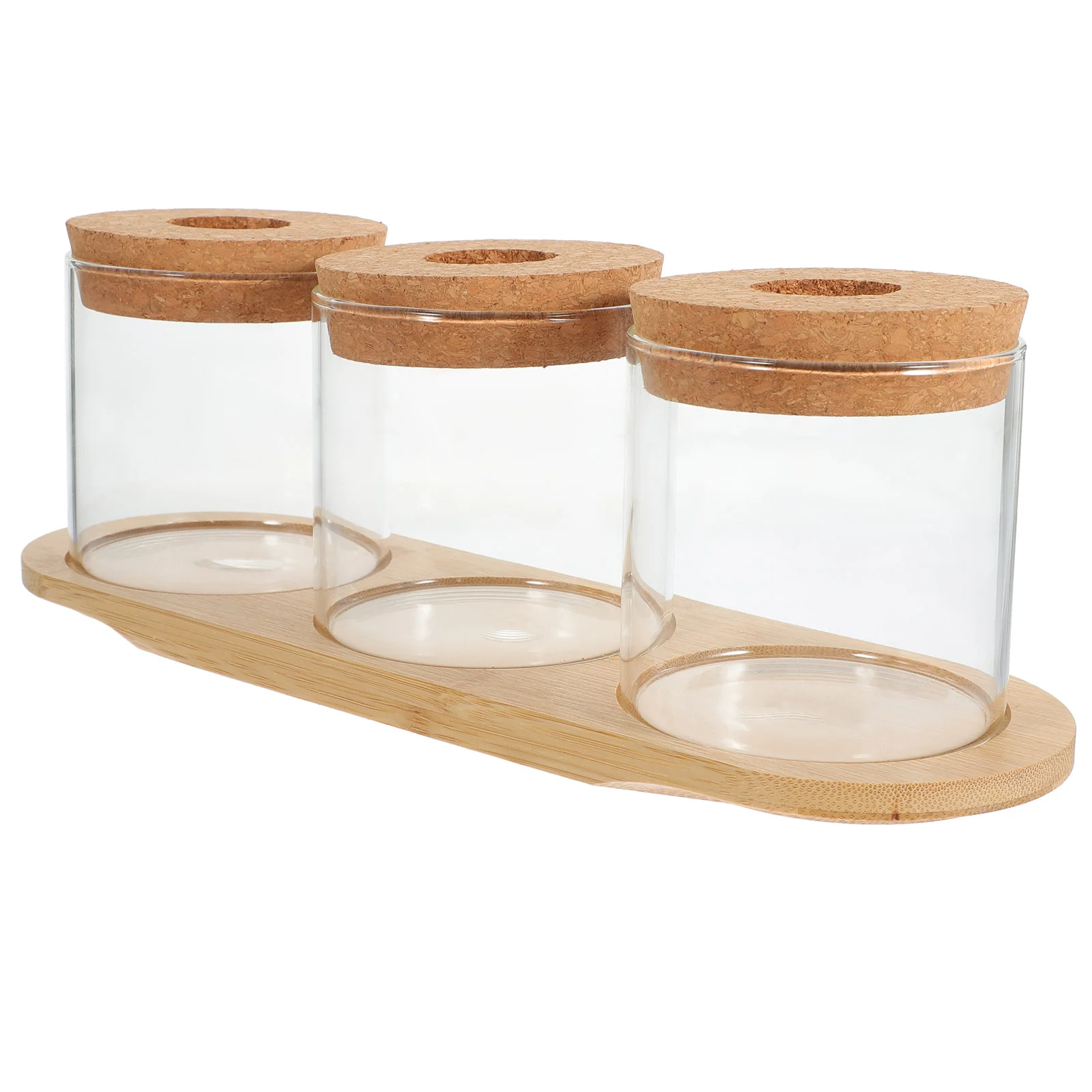 

Hydroponic Plant Glass Bottle Office Decore Container Modern Vases for Home High Borosilicate