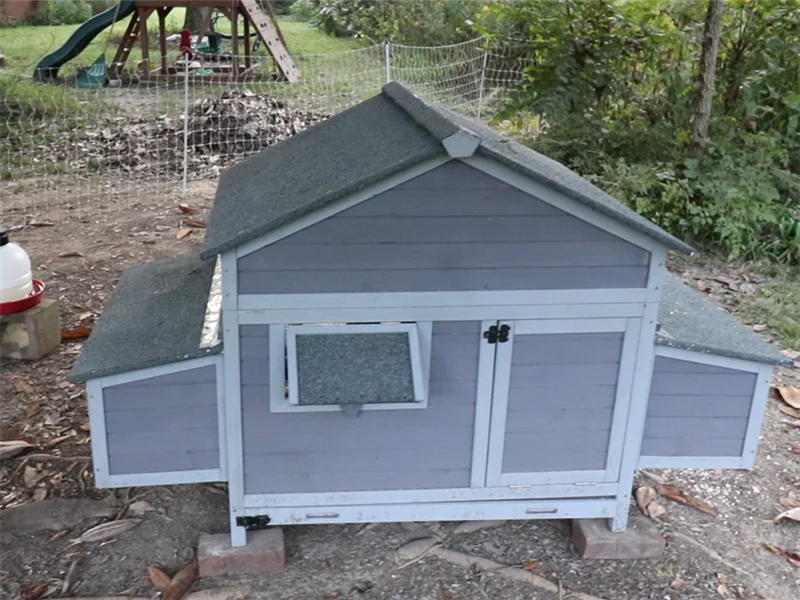 chicken coop for 4 chickens