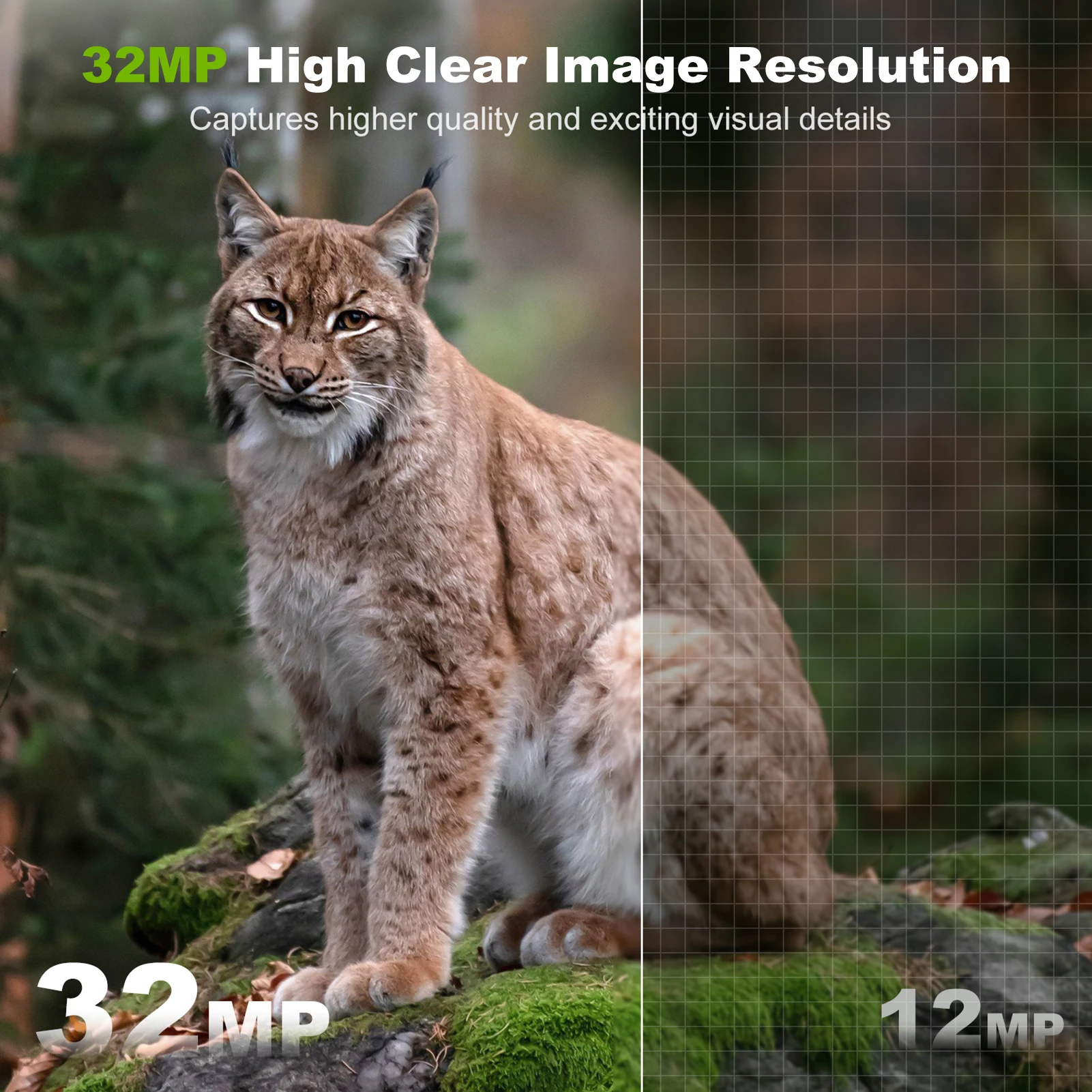 Solar Camera Outdoor Wireless Trail Camera 32MP Infrared Night Vision WiFi Enabled IP66 Waterproof Wildlife Hunting Hunting Trail Camera,Trail Camera