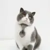 1pc Adjustable Plaid Cat Collar with Bow Tie - Adjustable Comfortable Collar, Perfect for Holiday Dress Up and Everyday Wear 2