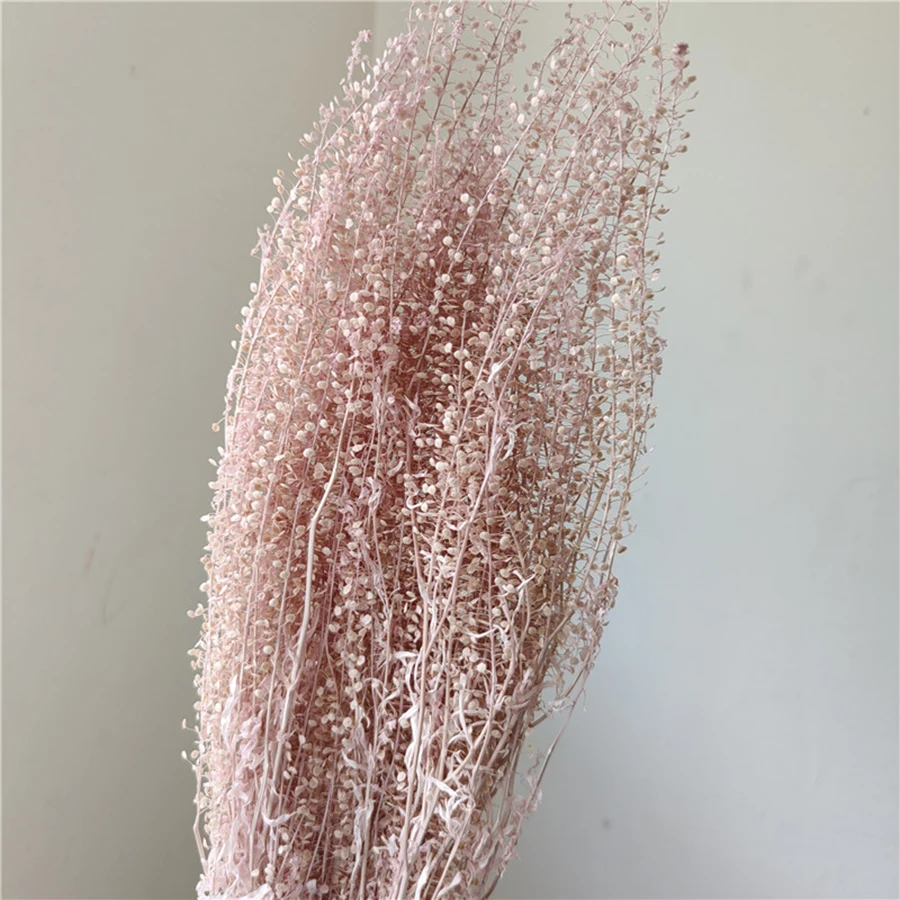 Wholesale Natural Preserved Green Bell Grass in Glass Cover