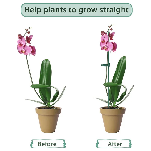 Növénytámogató Halom Állvány Virágokhoz Félkör Üvegházak Elrendezés Rögzítő Rúd Tartó Orchard Kert Bonsai Szerszám - Image 2