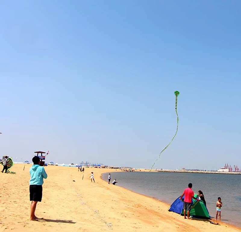 Großer Schlangendrachen für Kinder, Drachen, Nylon, Fabrik, Fliegenschnur, Strand, Sport, Outdoor, Spielen, Weifang, Cobra, Drachenfabrik, Koi-Linie – Detail 5