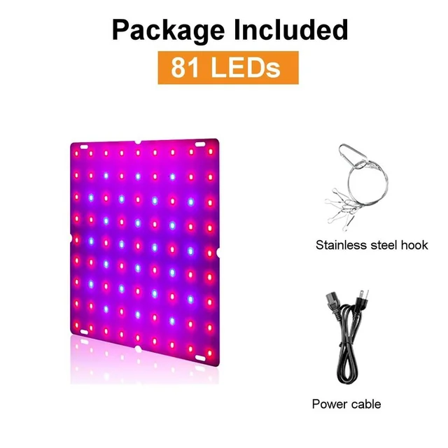 81 LED
