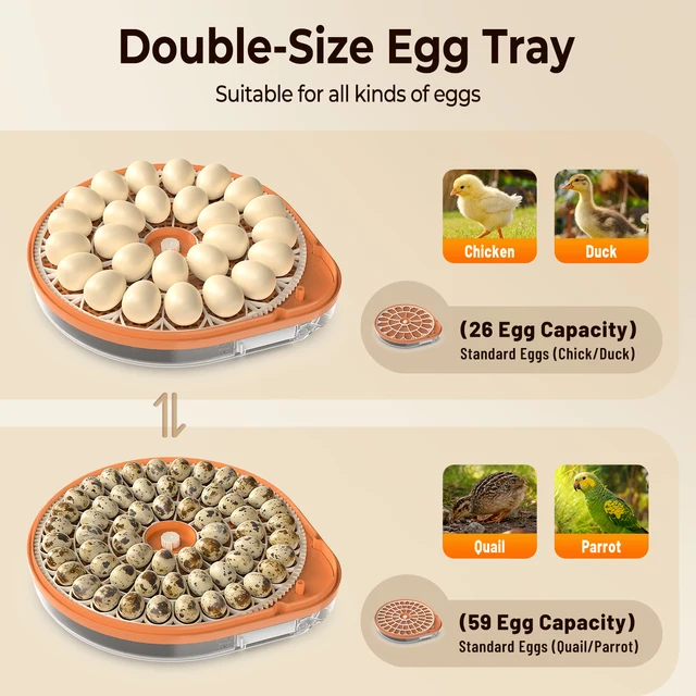 26 Egg Incubator with Automatic Turning, Temperature and Humidity Control, LED Egg Candler, and Auto Water Addition, for Hatchin