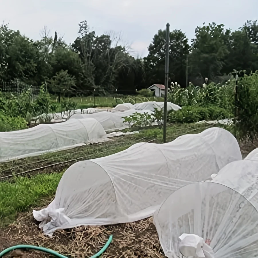 Pflanzenabdeckung gegen Frost, schwimmende Gartenabdeckung aus Vliesstoff, zum Frostschutz von Gemüse und Obst – Detail 5