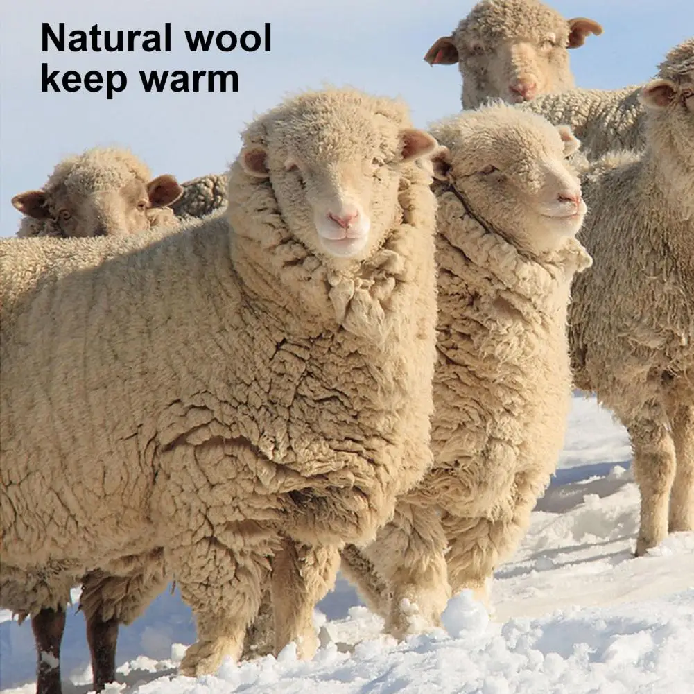 Рисунок 3 - Эластичный Мягкий женский шарф