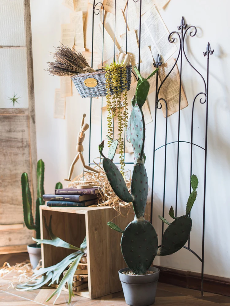 Gran Cactus bonsái artificial Cereus decorativo México Cereus Peruvianus decoración suelo regalo