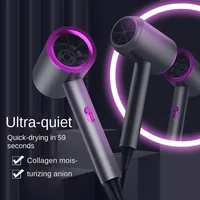 Constant Temperature Hair Dryer For Women Blue Light Negative Ion Professional Electric Hair Brush Quick Drying Low Noise Dryer 1