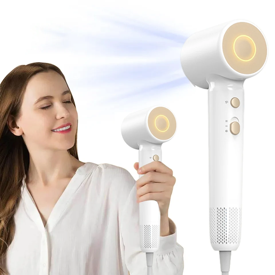 

High Speed 110000rpm Negative Ionic 1500W Hairdryer Wall Mounted Hair Dryer Low Noise Brushless Motor Hair Dryer